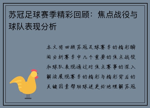 苏冠足球赛季精彩回顾：焦点战役与球队表现分析