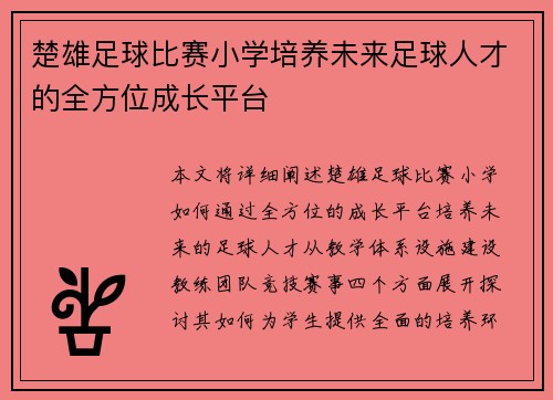 楚雄足球比赛小学培养未来足球人才的全方位成长平台